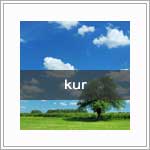 burn-out kur